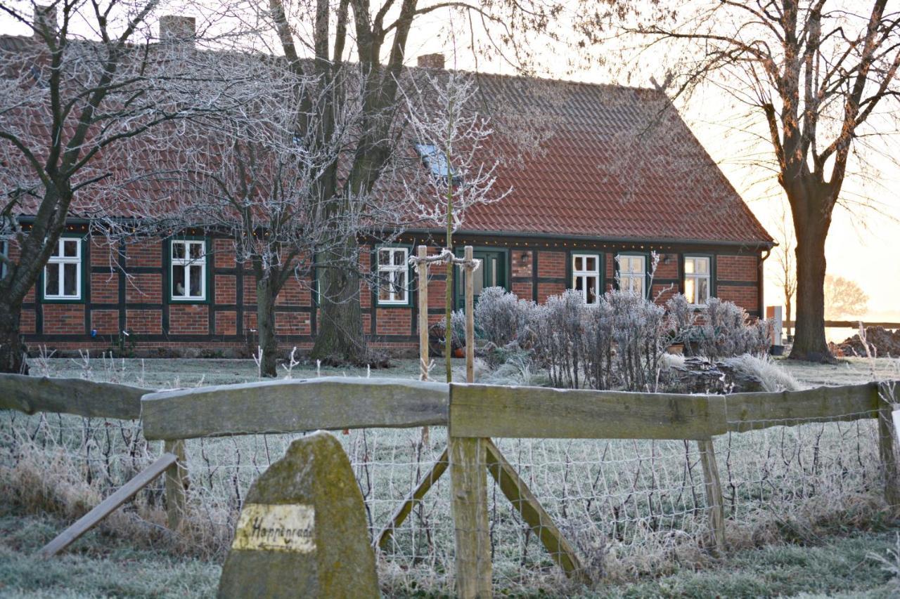 Pension Up'N Doerp Plattenburg Экстерьер фото